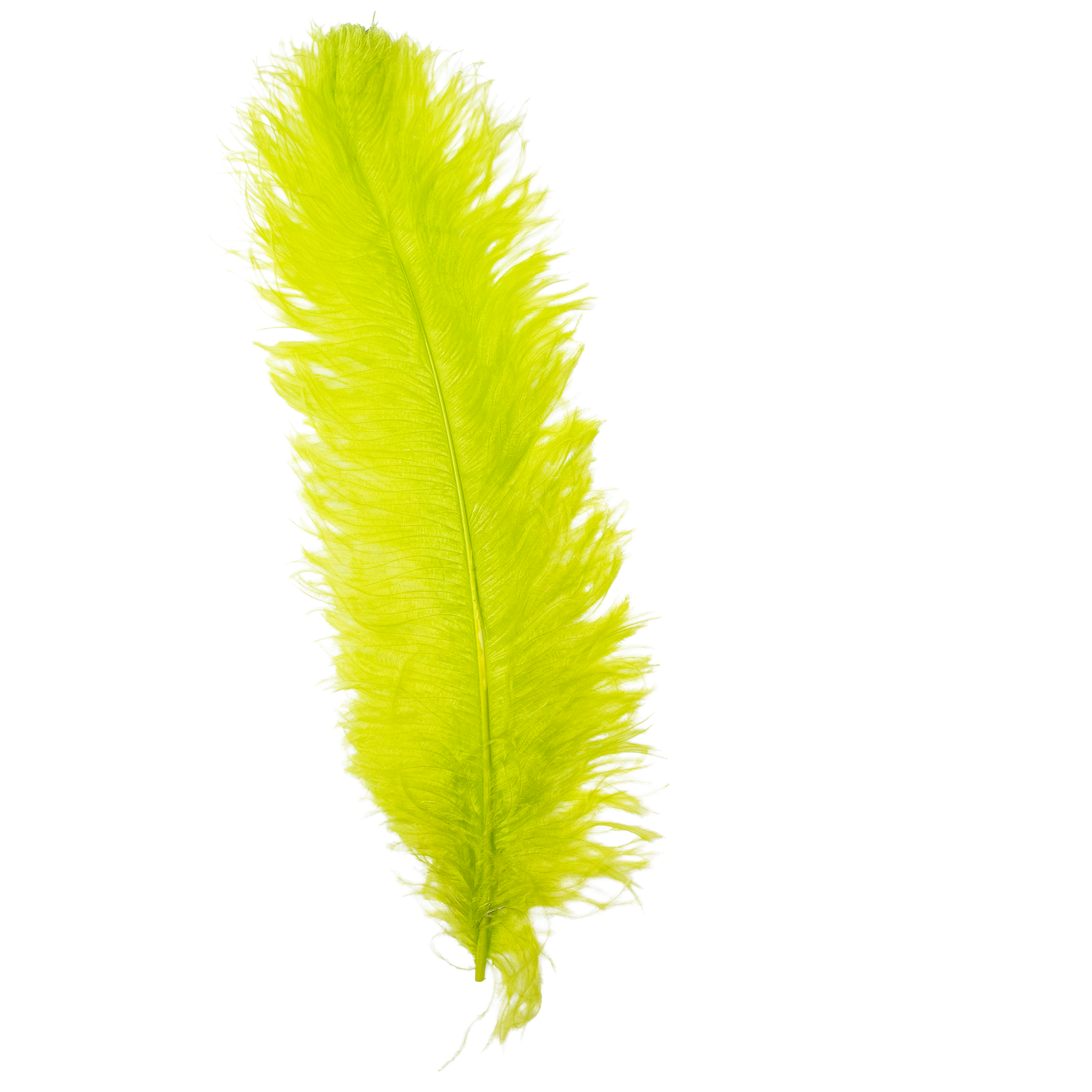 Feathers