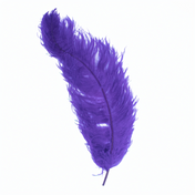 Feathers