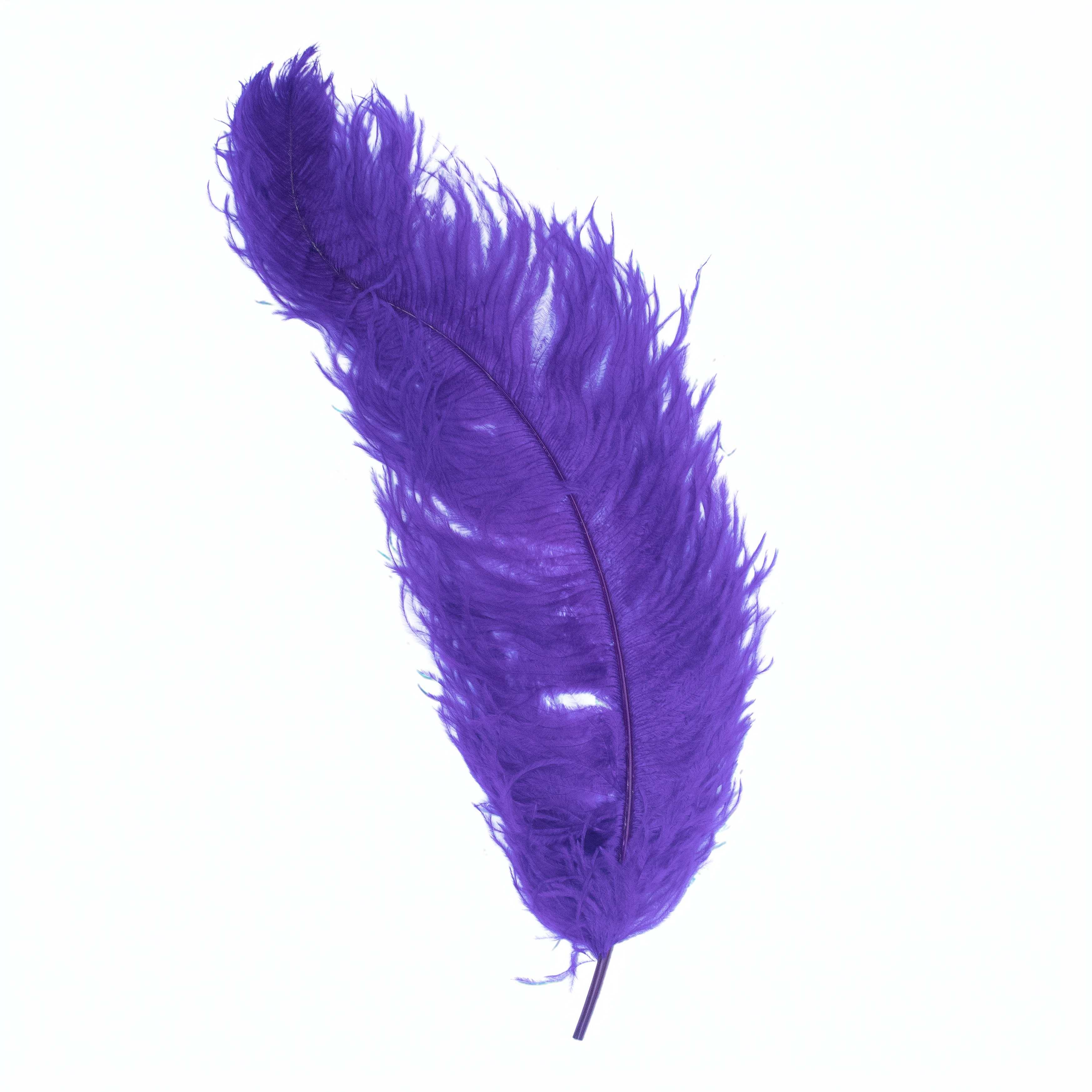 Feathers