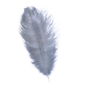 Feathers