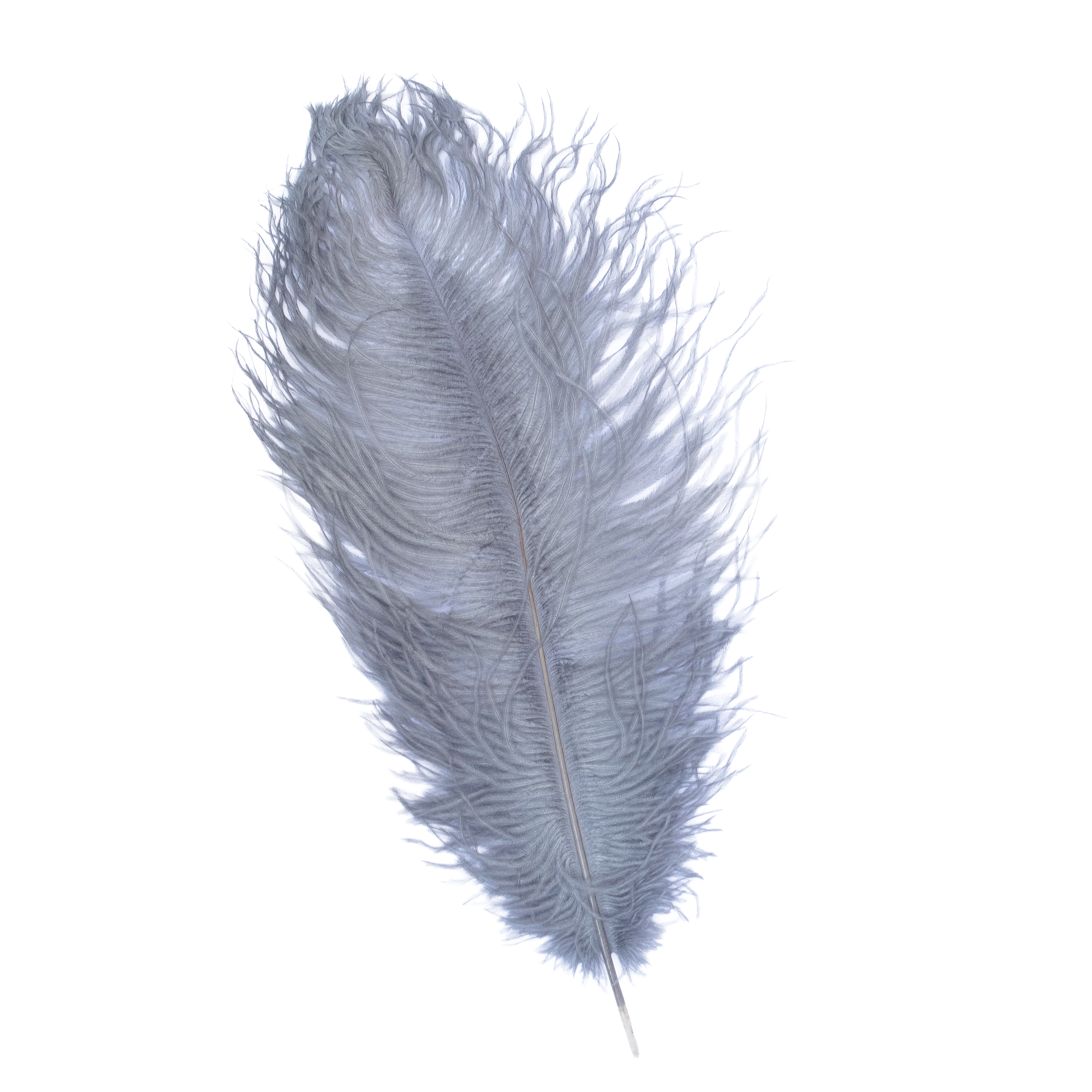 Feathers