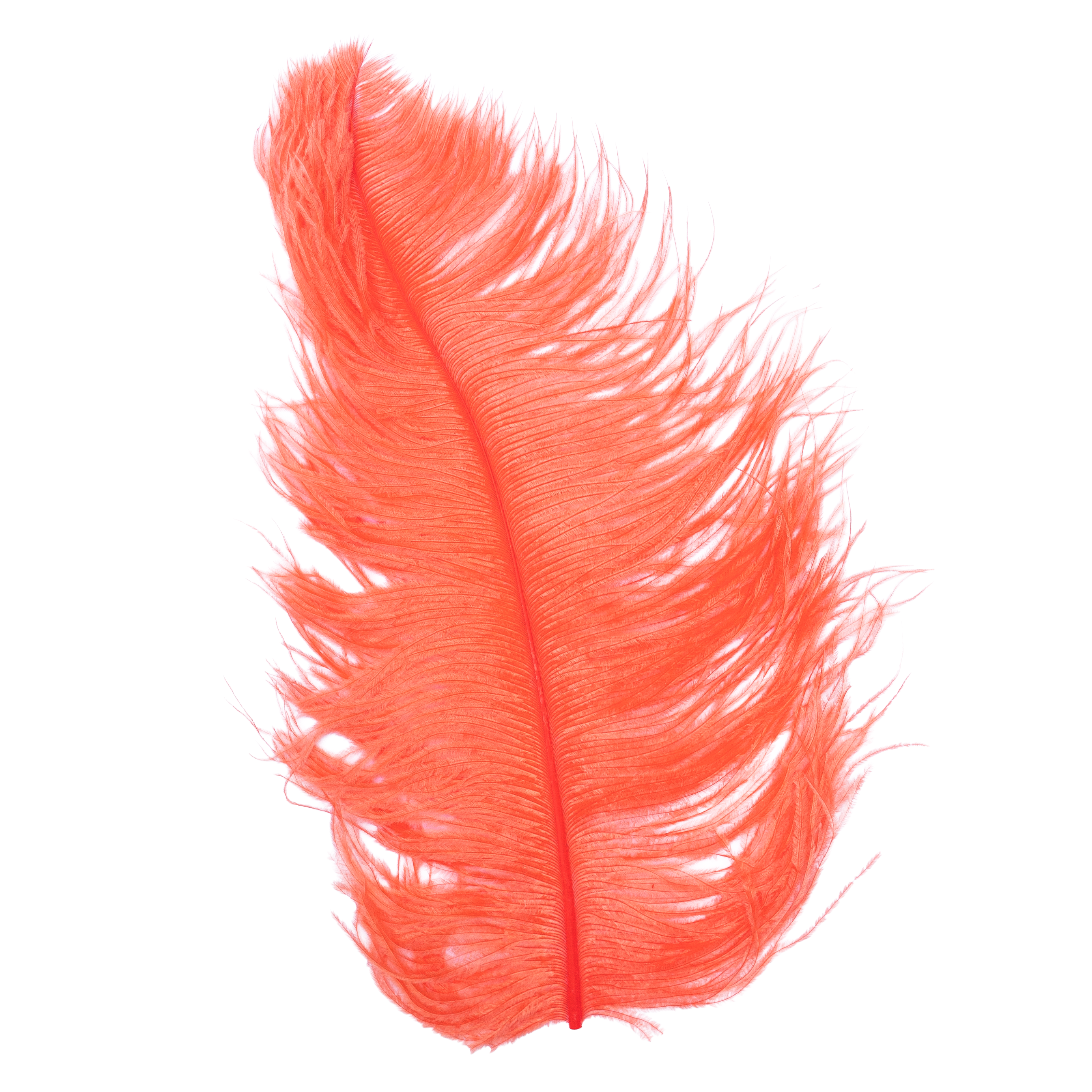 Feathers
