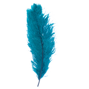 Feathers
