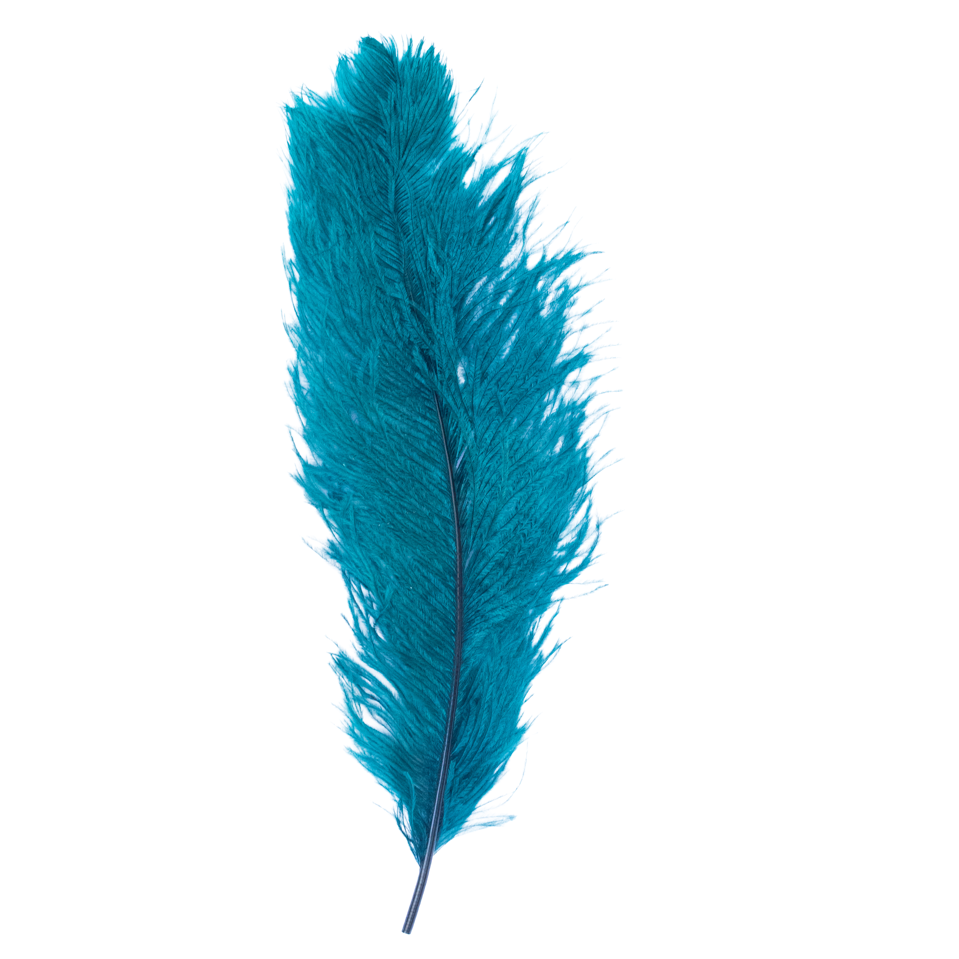 Feathers