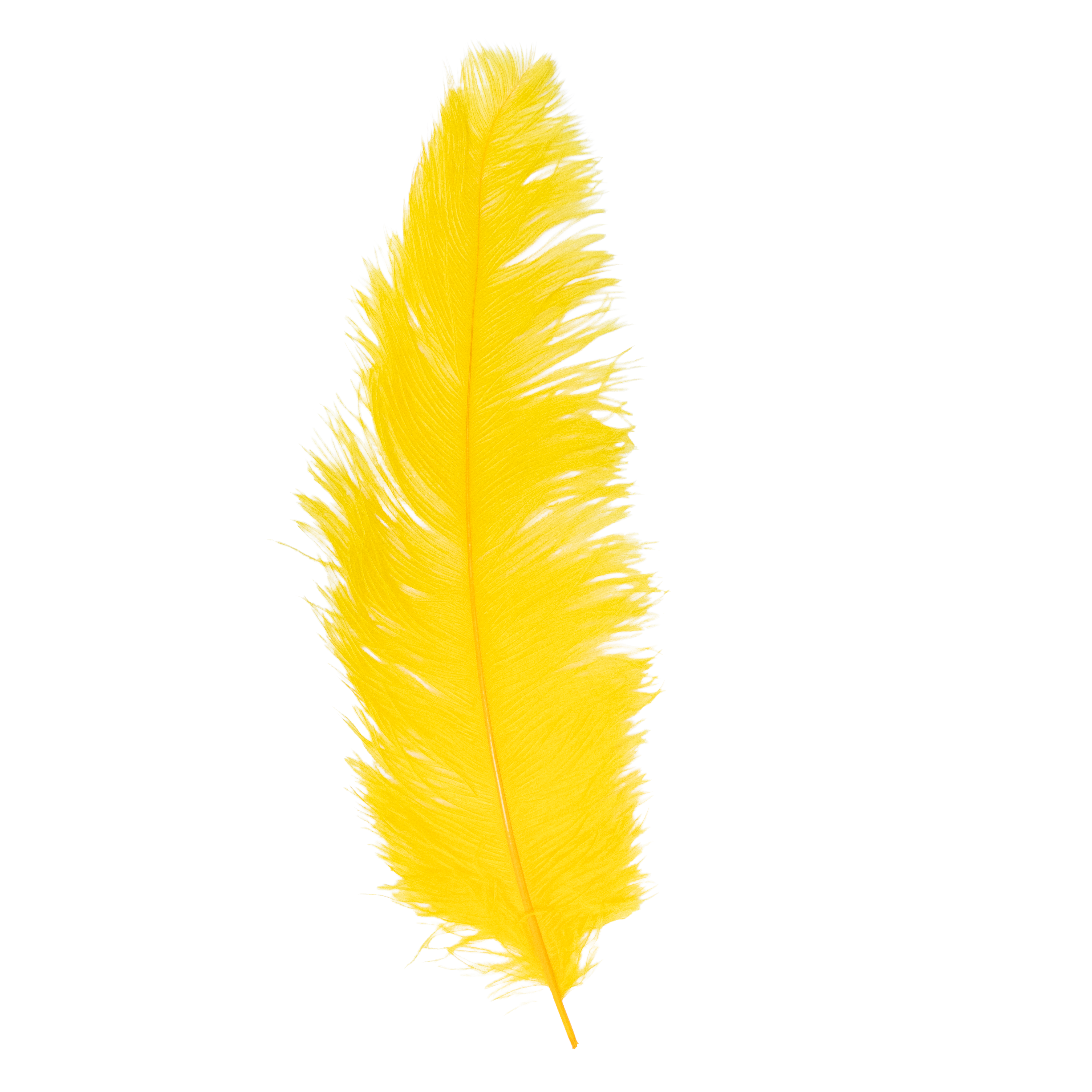 Feathers